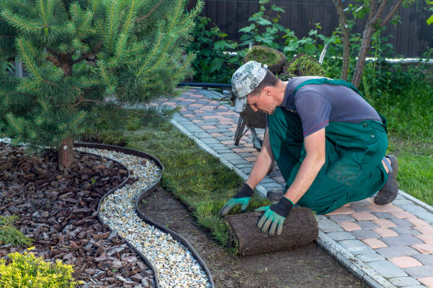 Beautiful lawn and garden installation with irrigation system and landscaping